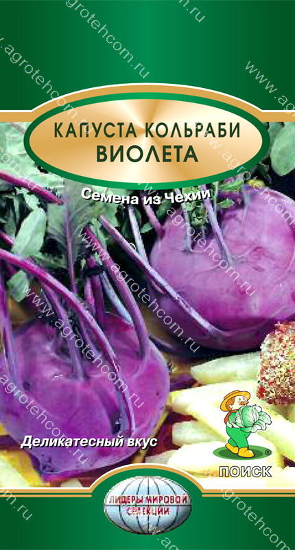 Капуста Кольраби Фиолетовая Фото